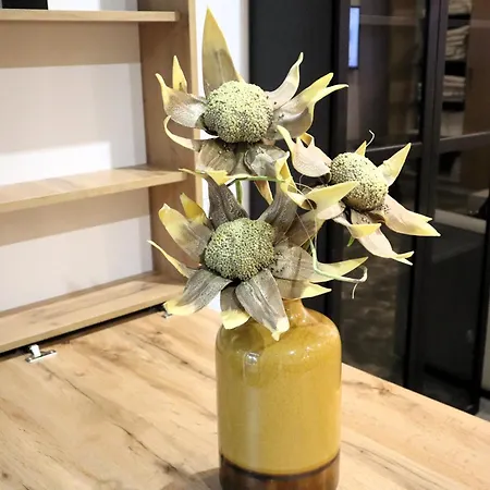 Dom wakacyjny Francos Family House Porto